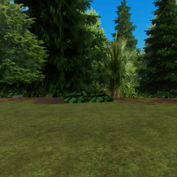 The Forest Campsite Hangout
