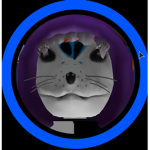 I WIL RAID U