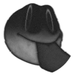 Alternate Alalal