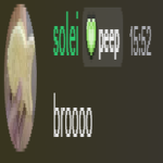 solei: bro broooo