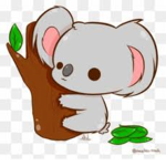 The Koala Party