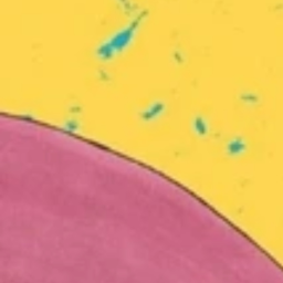 ⭐