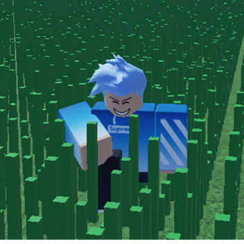 Grass Touching Simulator