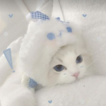 s k y’