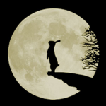 moon_rabbit