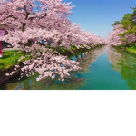 Land Of the Rising Sun [KEN]