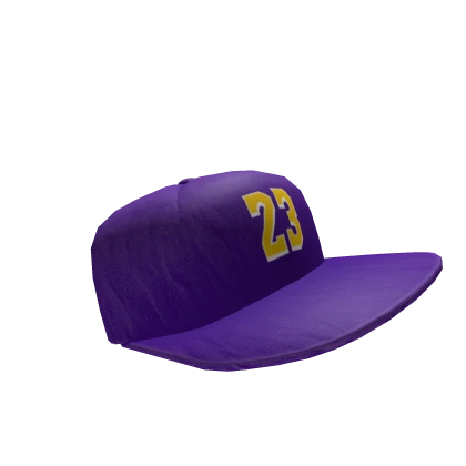 Lebron james fitted hats new arrivals