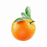 orange_juice<3