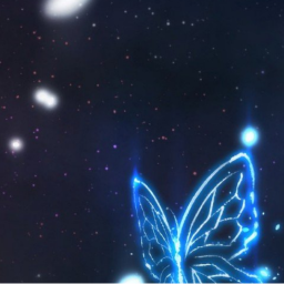 🌷💙