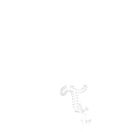 Twistet Light