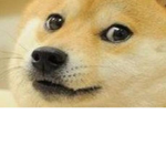 # PestyPlays DAWG