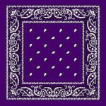 Purple Park Killers