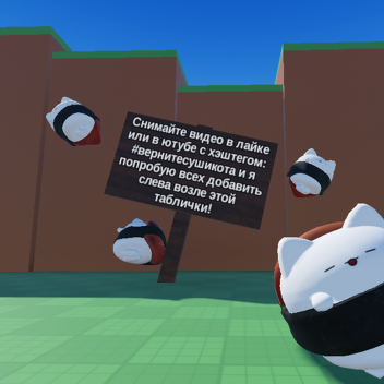 КОМАНДА ВЕРНИТЕ СУШИ-КОТА!