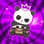 TheRacingPanda Community