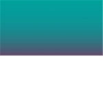 Blox Vision