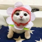 Cutey’s! Group Thumbnail