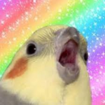 fat parrot source