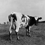 atom heart mother