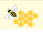 Bear’s and bee’s