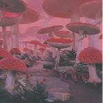 Mushroom Army! <3
