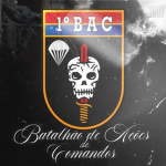Batalhão de Ações de Comandos | 'EB Nova Era'