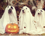 SPOOKY SCARY OUTFITS
