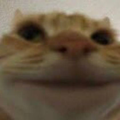funny cat meme Roblox decal