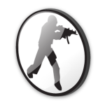 Counter Strike Assault Organization