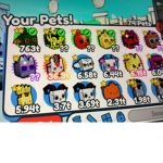 Pet simulator X With my friend