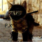 Protector Kittehs of Roblox
