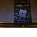 Roblox Bro gamer