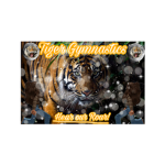 Tiger Gymnastics Academy
