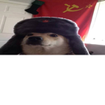 Russian Doges