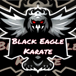 Black Eagle Karate Training