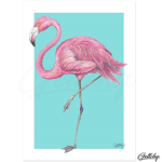 Keira loves flamingos