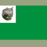Watermelon Cat Republic