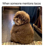 Be like Abby