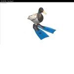Ducks say QUACK