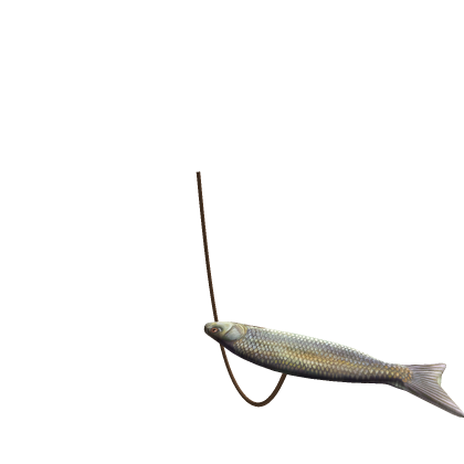 popiehaha (longer rope)