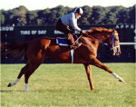 secretariat