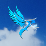 Blue Skies Express Project