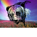 Black Bear Studios™