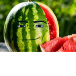 Melon Team/Gang