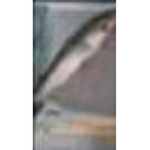 sw4mp3d