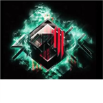 skrillex fans!!!