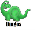 Dingo Main Store