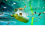 Ocean on the brink