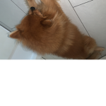 Coolegrope