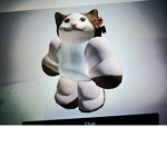 The cat of the week