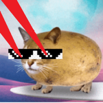 anti soup cats